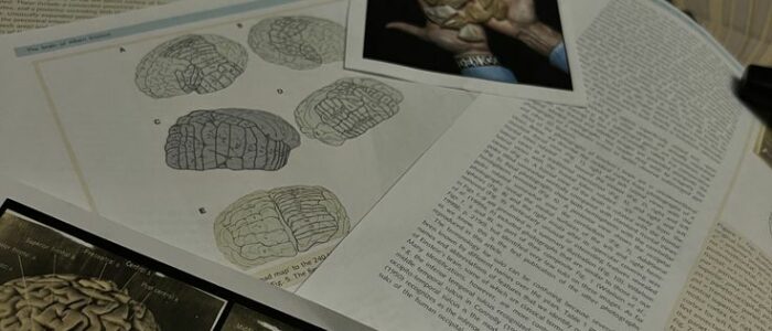 neuropsychology 📌🧠