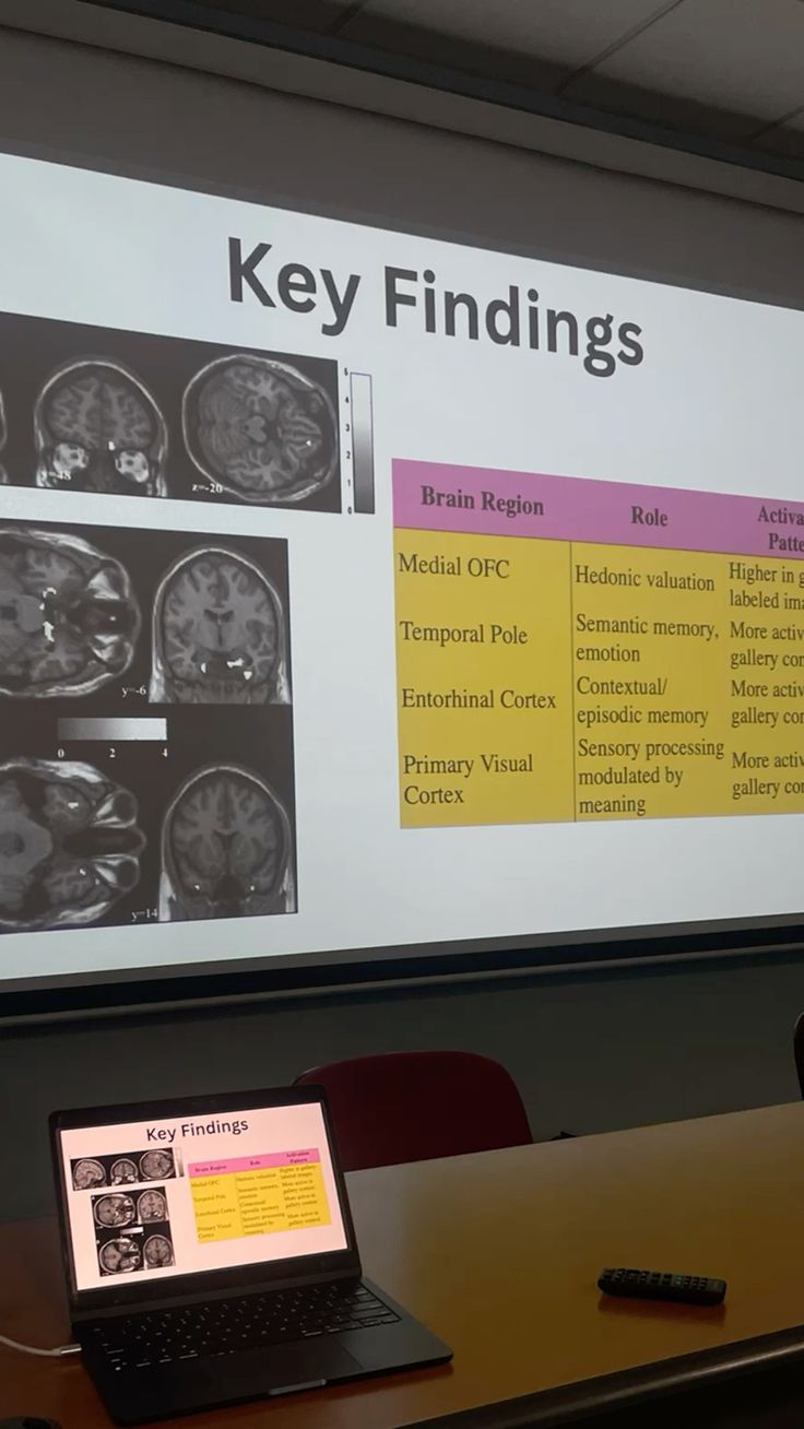 brain neuroscience psychology academia