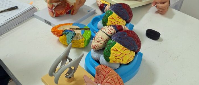 psychology student (1)